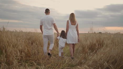 Slow-motion:-Happy-family-of-farmers-with-child-are-walking-on-wheat-field.-Healthy-mother-father-and-little-daughter-enjoying-nature-together-outdoors.